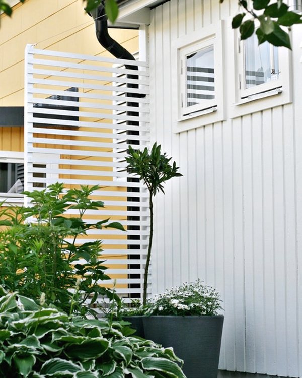 The white slatted trellis in place beside the house, hostas planted at its foot
